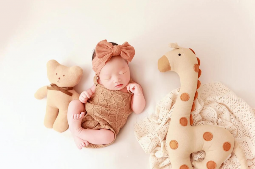 铁岭宝宝虾的做法 铁岭宝宝虾的做法